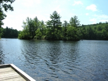the pond
